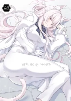 (C102) [Ohanabatake (Siseki Hirame)] Sukitoutta Akira | 비쳐보이는 아키라 (Blue Archive) [Korean]