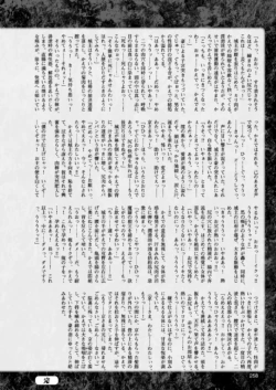 Page 258