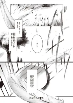 Page 264